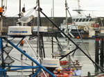SX00449 Seagulls on fishing boat's radars [Herring Gull - Larus Argentatus].jpg